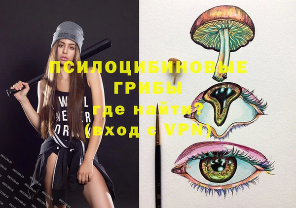 трава Магас