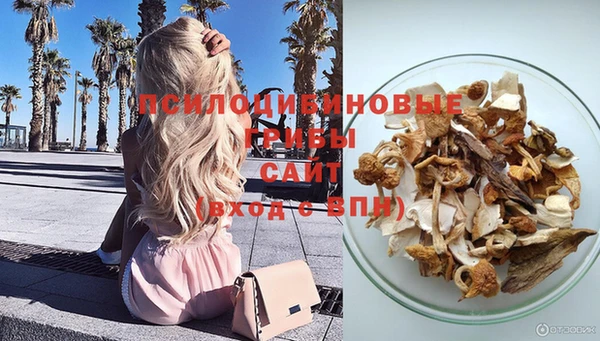 бошки Магадан