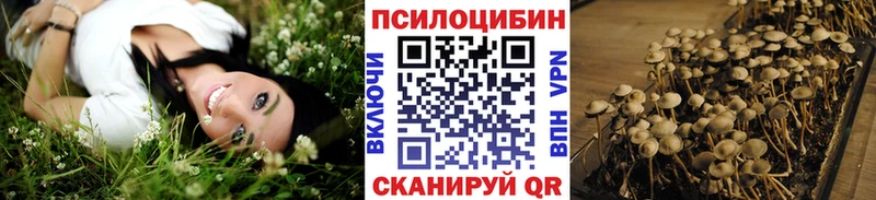 Галлюциногенные грибы GOLDEN TEACHER  ссылка на мегу ТОР  Гдов  магазин продажи наркотиков 